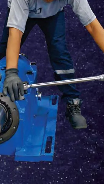 Overhaul de conjunto porta rodamiento